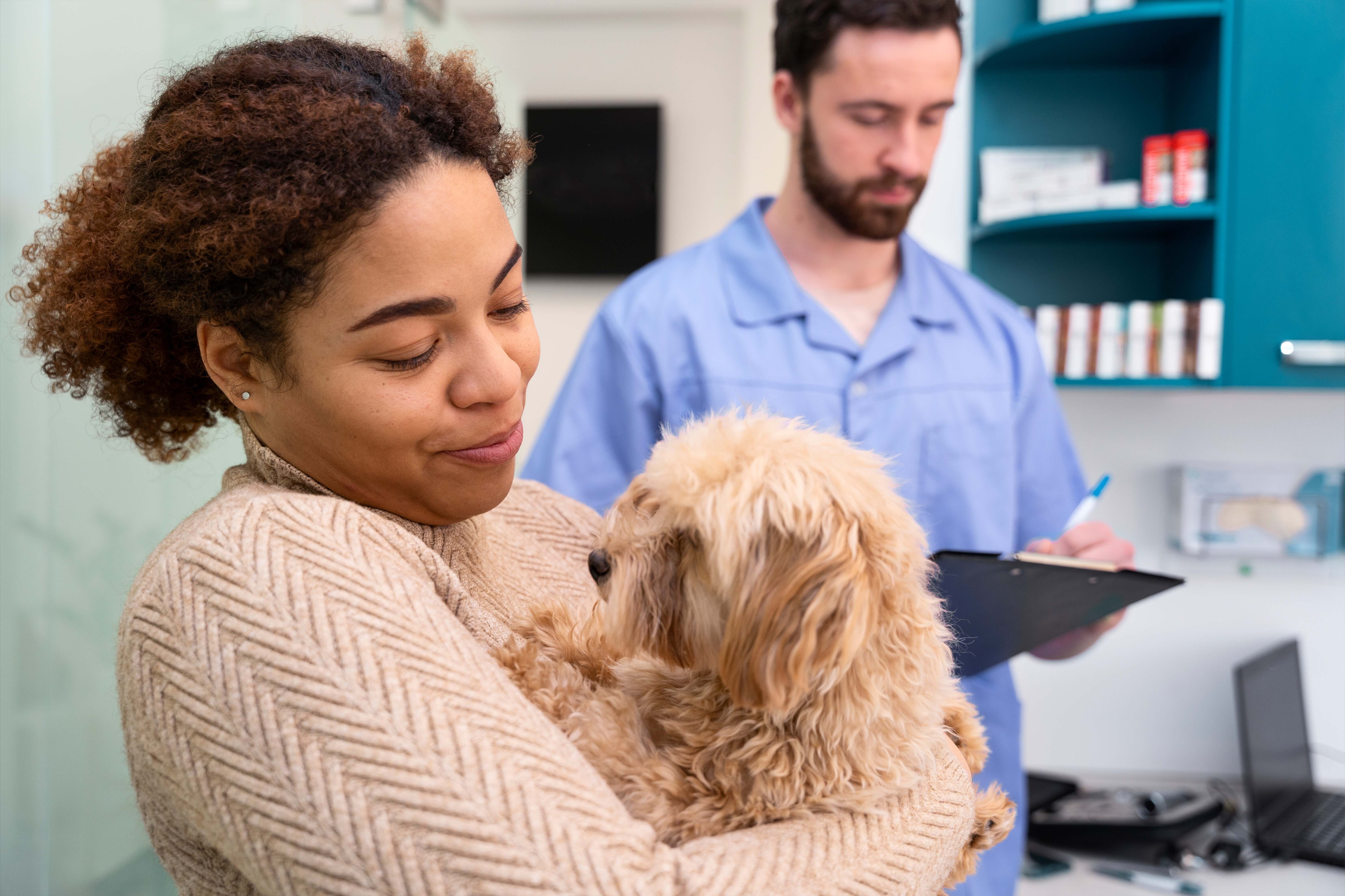 Pourquoi la puce électronique est-elle indispensable pour assurer votre chien ou votre chat ?